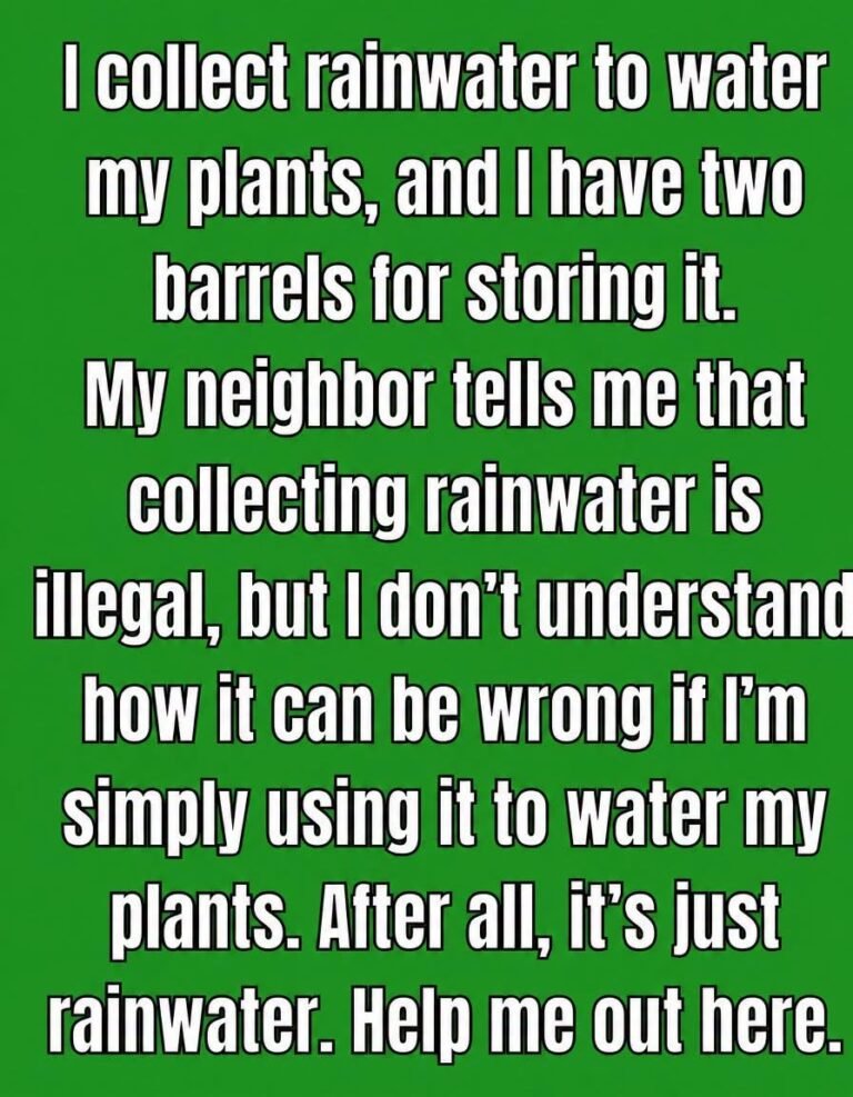 Can Collecting Rainwater Really Get You Arrested?
