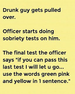 A Drunk Driver Was Pulled Over… Then Something Unexpected Happened